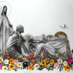 Sor Elizabeth Ochoa-Zavala - Appiani graphite, charcoal, gold leaf, and pressed flowers on paper