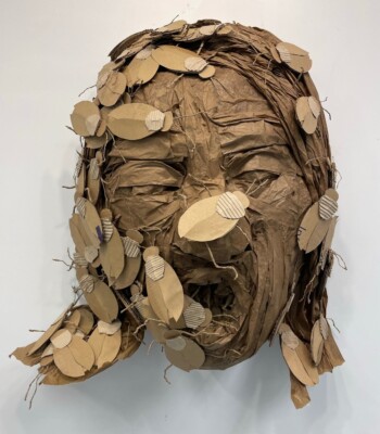 Infested, cardboard and paper - carolinegracenagleart.com Caroline Nagle