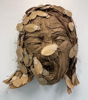 Infested, cardboard and paper - carolinegracenagleart.com Caroline Nagle