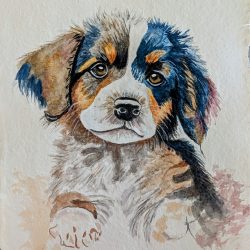 Puppy Eyes Watercolor - No Website Gayle Miller