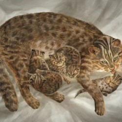Motherhood - No Website Ji Yoon Kate Park