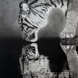 A mirror to the soul Sandra Gschnell