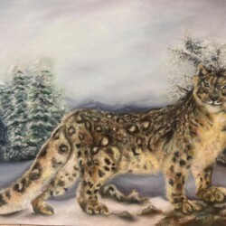 Title: The veil of snow and cliff, medium: oil painting Tarunika Singh