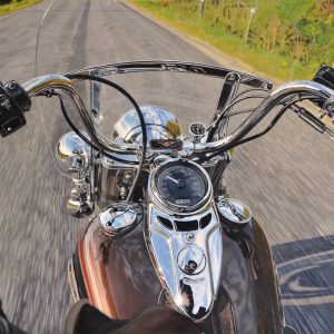 Cruising, Acrylic Painting - https://www.artbycher.ca Cher Pruys - Cruising, Acrylic Painting- https://www.artbycher.ca