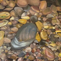 River Clam - https://www.behance.net/daniamiwa Dania Miwa - River Clam- https://www.behance.net/daniamiwa