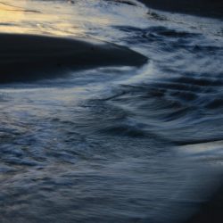 The Tourists Have Gone - Flow - No Website Joan-Marie Abley - The Tourists Have Gone - Flow- No Website