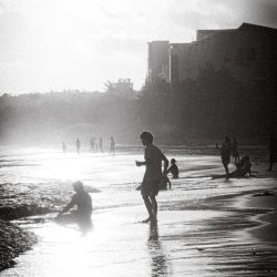 Title: Shimmering Medium: Fujifilm XS10 - No Website Wanjing Sun - Title: Shimmering Medium: Fujifilm XS10- No Website