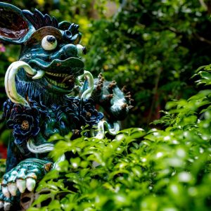 Green Dragon (photography) - Cactusrat.org Ari Barusch - Green Dragon (photography) - Cactusrat.org