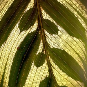 - No Website Betty Wagner - - No Website