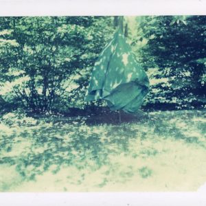 Tarp II Instant Dye Transfer (Polaroid) - ezraasohan.com Ezra Asohan - Tarp II Instant Dye Transfer (Polaroid) - ezraasohan.com