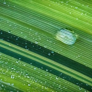 Wet Lines - Photography - https://fgcphotos.com/ Frank G. Clemmensen - Wet Lines - Photography - https://fgcphotos.com/