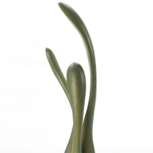 Orchid - https://jasonshih.com Jason Shih - Orchid - https://jasonshih.com