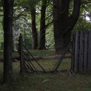 Miller Spencer - Driving Around 4 - https://www.instagram.com/millerspencerphotography/ Miller Spencer - Miller Spencer - Driving Around 4 - https://www.instagram.com/millerspencerphotography/