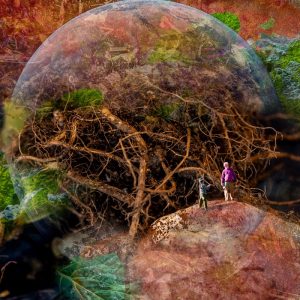 Passing on Knowledge, digital collage - www.artanthropocene.com Vida Pavesich - Passing on Knowledge, digital collage - www.artanthropocene.com