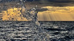 The Wave Photography - https://www.instagram.com/bbbeaglebearphotography Brigitte B Burckhardt - The Wave Photography