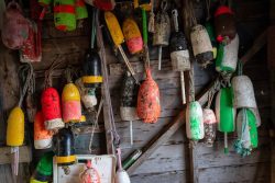 Community Shellfish (digital photography) - madelinemmchugh.com Maddie McHugh-Gandy - Community Shellfish (digital photography)