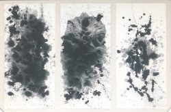 - No Website 蔡林超 -