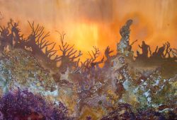 Coral Reefs Chemistry on copper - safren.con Cheryl Safren - Coral Reefs Chemistry on copper