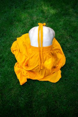 I. Rooted - Digital Photography - https://www.laurenkingart.com/ Lauren King - I. Rooted - Digital Photography