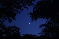 Lillian Lam - Night Photography Art (1) - https://lillianlam59.wixsite.com/lillian-lam Lillian Lam - Lillian Lam - Night Photography Art (1)