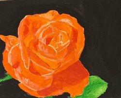 Orange Rose on black, acrylic - http://outsidein.org.uk/galleries/ruth-breen-artwork/ Ruth Breen - Orange Rose on black, acrylic