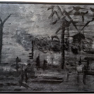 The Darkness of Disaster - No Website Lauren Manera - The Darkness of Disaster