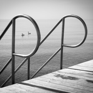T.Karl Stelling - Jetty with Swans - www.stelling-photo.com T. Karl Stelling - T.Karl Stelling - Jetty with Swans