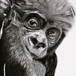 Looking cute graphite - https://www.facebook.com/tanya.finch3 Tanya Finch - Looking cute graphite