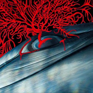 Fynn Lamanske - Whale Fall - No Website Fynn Lamanske - Whale Fall - No Website