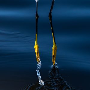 Drag - Photography - https://willshotwellphotography.com Will Shotwell - Drag - Photography