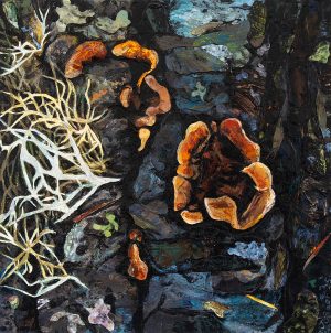 Julie C Baer - Hairy Curtain Crust (Stereum hirsutum), Mixed media on wood panel - https://www.juliebaer.com/ Julie C Baer - Hairy Curtain Crust (Stereum hirsutum), Mixed media on wood panel - https://www.juliebaer.com/