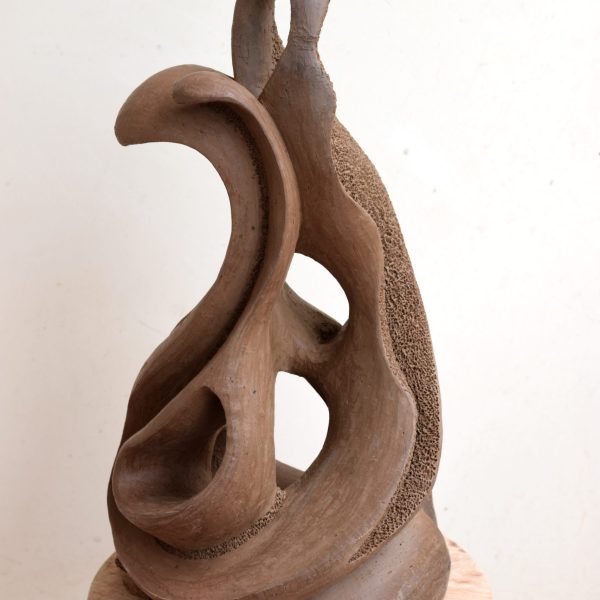 AartiGuptaBhadauria_WaveOfExcitement_Terracotta