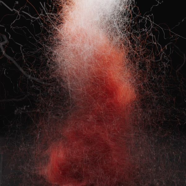 BoningLi; Bloodline Ballet; Digital