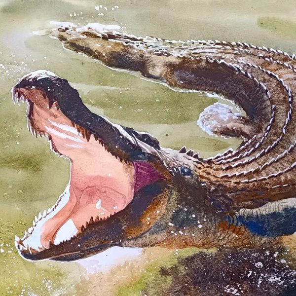 irina Yushmánova Endorphine.Art_The crocodile_Watercolor