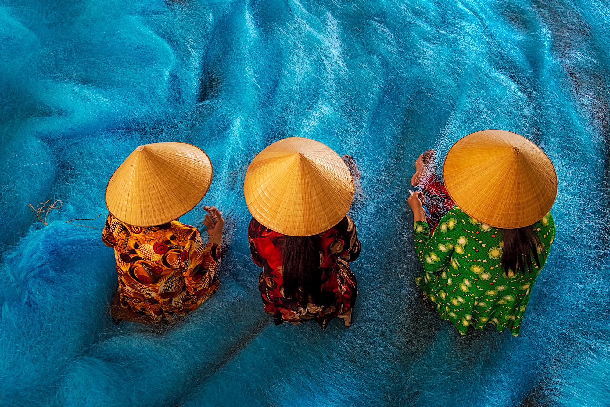 david swainson - A Sea of Nets