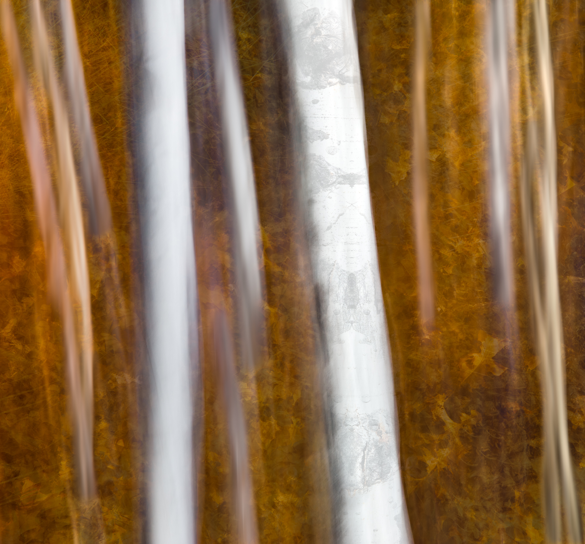 Robert DenUyl - Near Silence