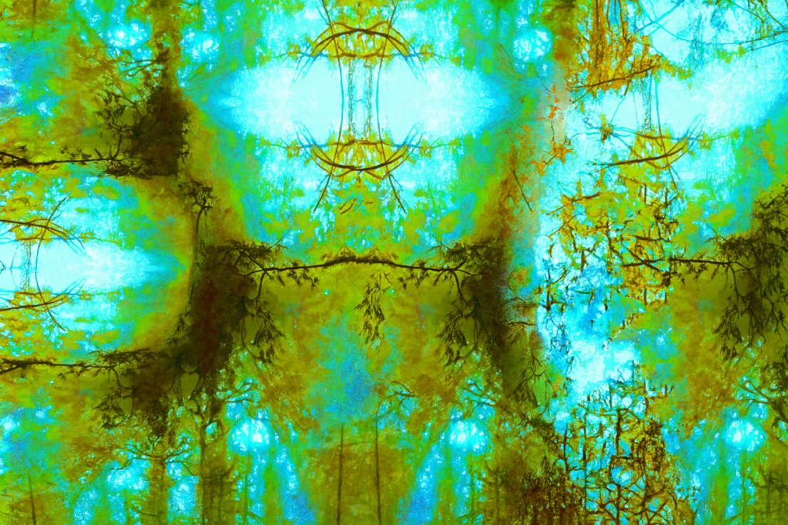 Steven R Stein - Face of the Guardian