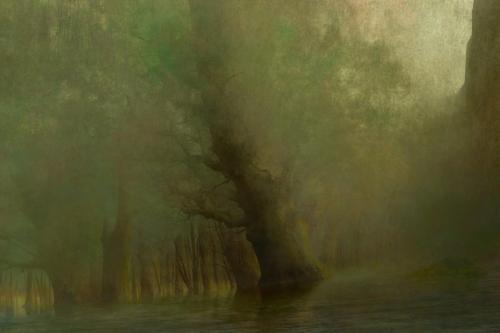 Nhan NguyenTitle: Lumus / Medium: Digital / Dimensions: 24"x36" / Website: https://nekuroart.pb.online/ 