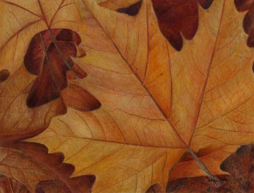 2nd Place: Cathy Boytos - Autumn Leaves - Colored Pencils - 9 x 12in - $275.00