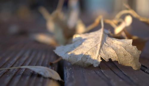 Danielle Horne - Breakdown