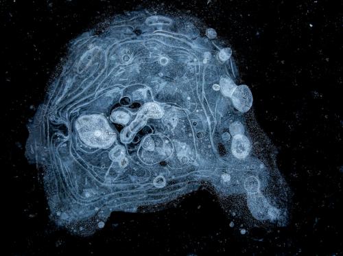 Edo Piantadosi Galaxy Cluster - Fine Art Photography