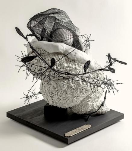 Representation of Life