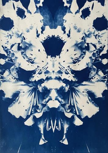 Artist: Jacqueline Dupré Title: Phusis Medium: Cyanotype Price: $2000.00 Website: http://jdupreart.com