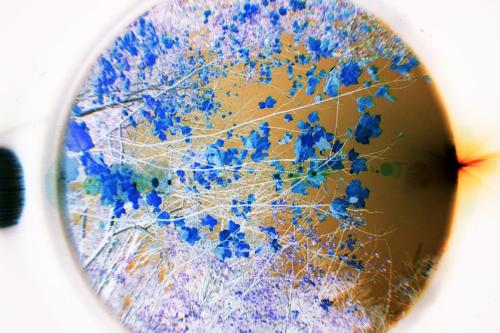 Leah Oates - Transitory Space, Don Valley #22 - Color Photography - 16 x 20