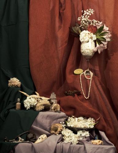 Lily Walovich - Still life