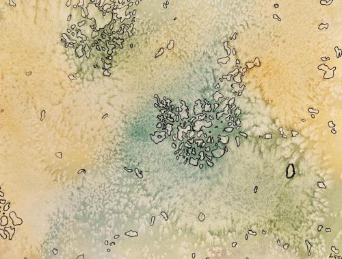 Sarah Kern “Moss”